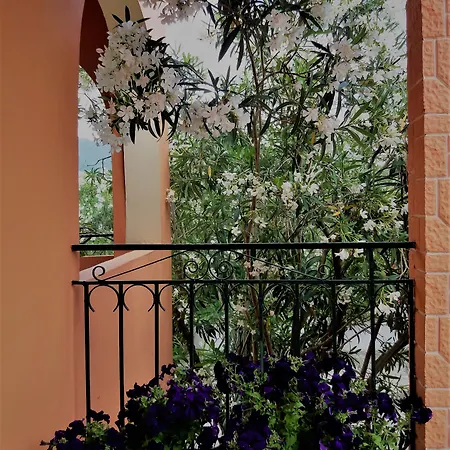 Apartamento Ziogas Luxury